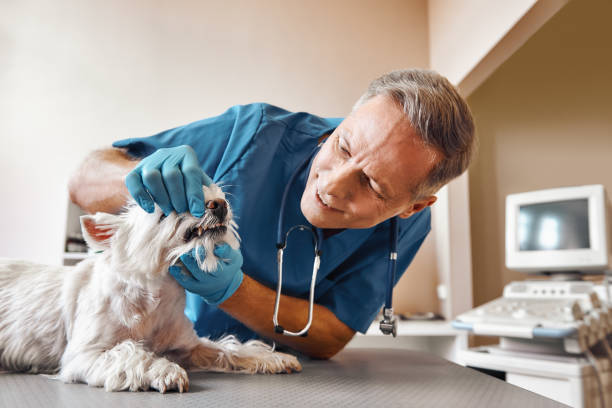 Best Emergency Tooth Extraction in Millersville, TN